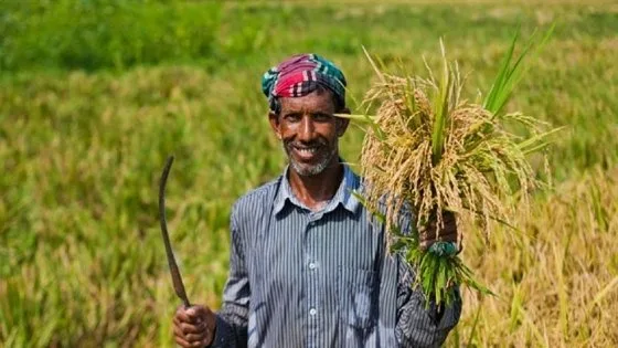 কৃষি ঋণ ও সুদ মওকুফে ১,৪৩৪,৪৮২ কৃষক পেলেন আর্থিক স্বস্তি