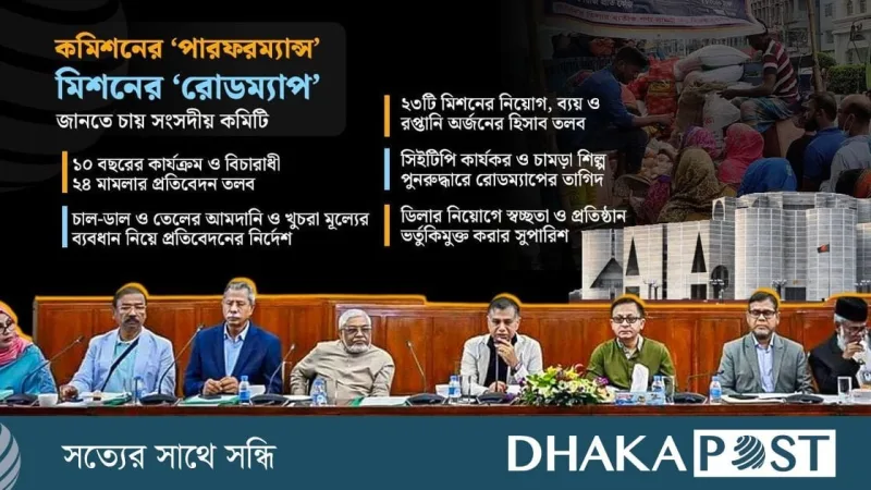 বাণিজ্য মন্ত্রণালয়ের হিসাব তলব: বাজার সিন্ডিকেট, চামড়া সংকট ও টিসিবি নিয়োগে স্বচ্ছতা চেয়ে কমিটি