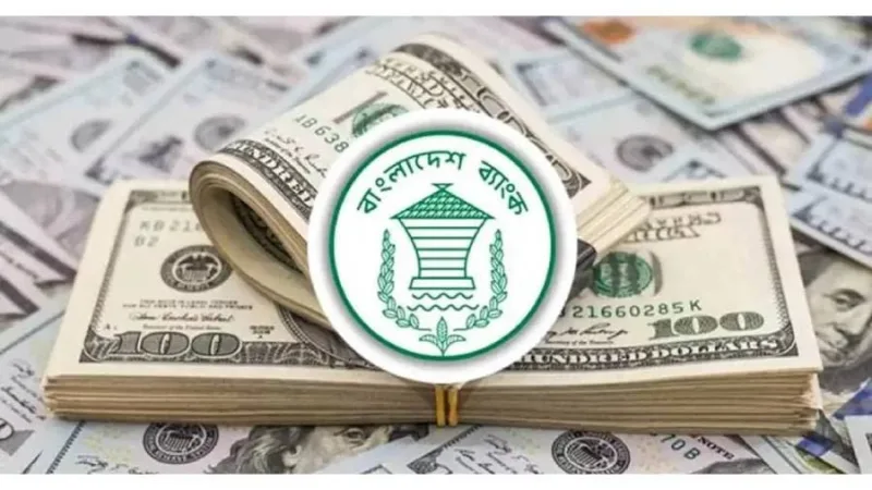 অক্টোবরের প্রথম ২৪ দিনে ২১৩ কোটি ডলার রেমিট্যান্স পেয়েছে বাংলাদেশ