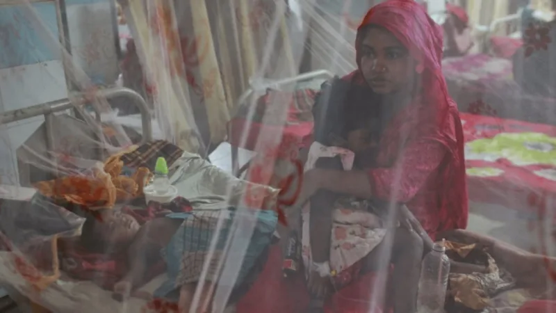 ডেঙ্গু প্রাদুর্ভাব: সরকারি প্রস্তুতিতে প্রশ্ন, ২০২৬ সালে রোগী ও মৃত্যু বেড়েছে