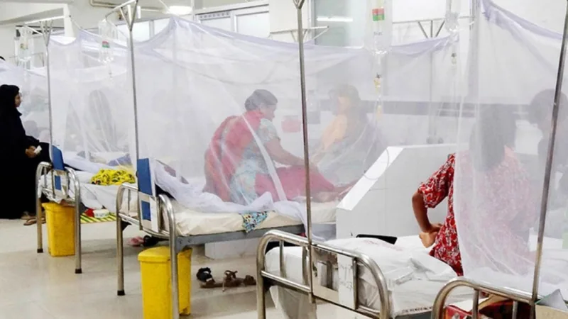 ডেঙ্গুতে ৩ জনের মৃত্যু, ১,২৬২ রোগী ভর্তি – দেশ রূপান্তর