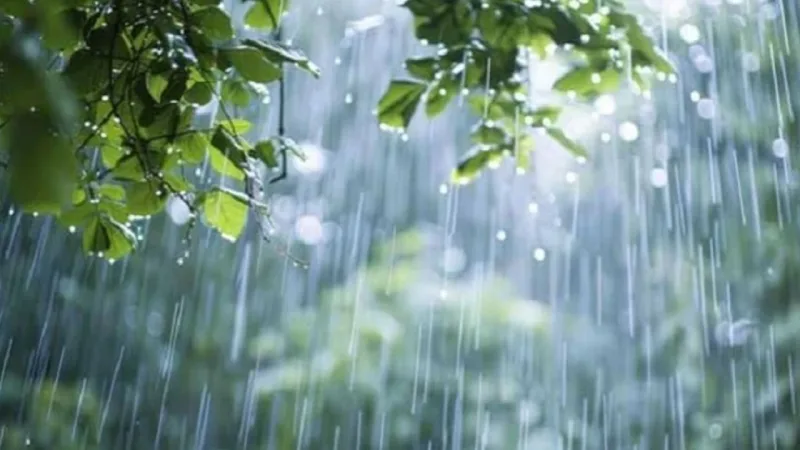 চট্টগ্রাম, খুলনা ও বরিশালে বৃষ্টির সম্ভাবনা; বঙ্গোপসাগরে গভীর নিম্নচাপ