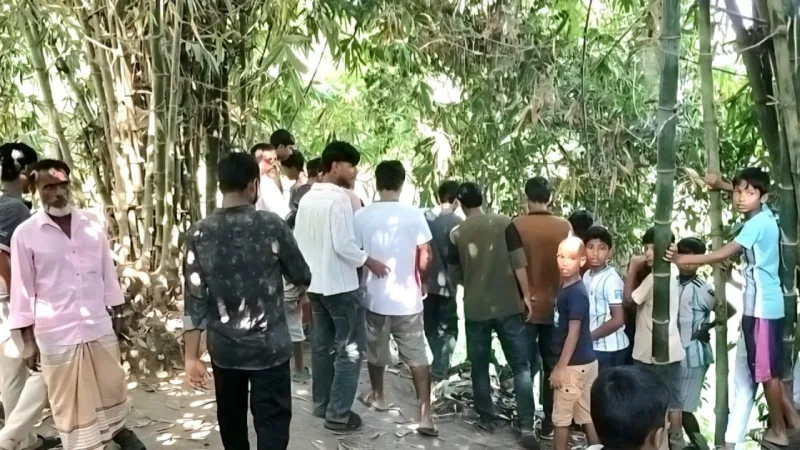কুমিল্লায় একই নারীকে কেন্দ্র করে মামাকে ছুরিকাঘাতে হত্যা, ভাগিনা পলাতক