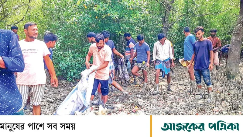 সুন্দরবনে প্লাস্টিক বর্জ্য: জীববৈচিত্র্য বিপন্ন, বন বিভাগের সংকট