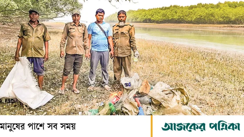 সুন্দরবনে প্লাস্টিক দূষণ: শ্বাসমূল আচ্ছাদিত, মাইক্রোপ্লাস্টিক খাদ্যশৃঙ্খলে