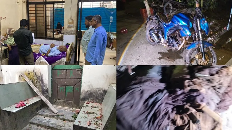 মধ্যরাতে পুকুরের মাছ লুট, বসতঘরে হামলা-ভাঙচুর