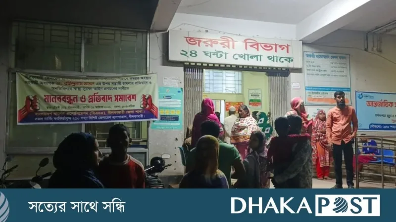 নীলফামারীতে পৃথক দুর্ঘটনায় শিশুসহ দুজনের মৃত্যু